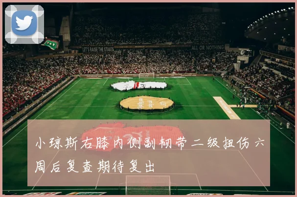 小琼斯右膝内侧副韧带二级扭伤六周后复查期待复出