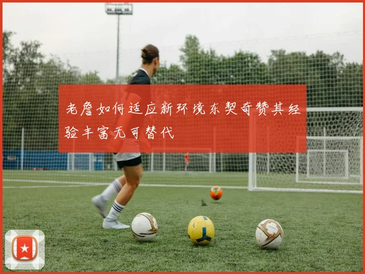 老詹如何适应新环境东契奇赞其经验丰富无可替代