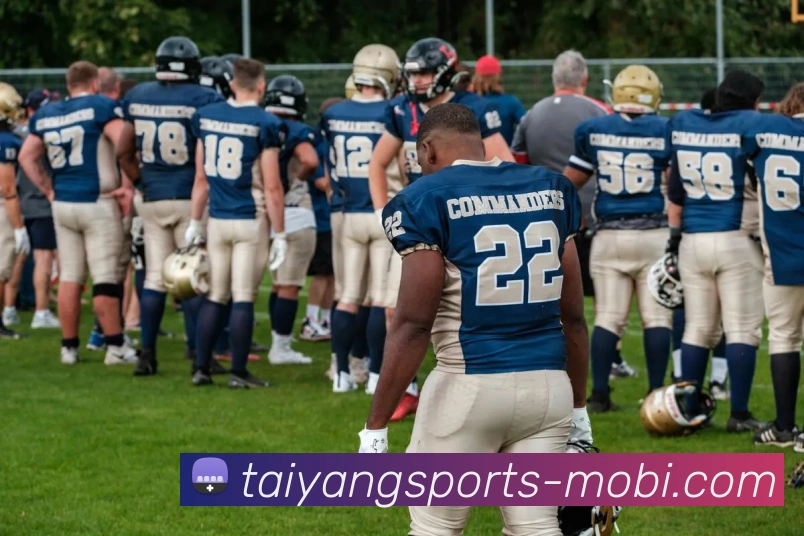 App Interface Preview