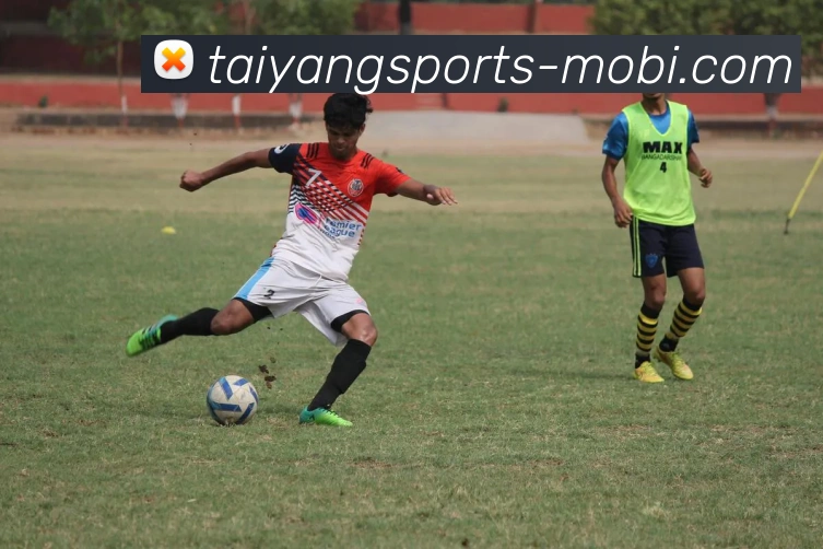 太阳城APP 封面图