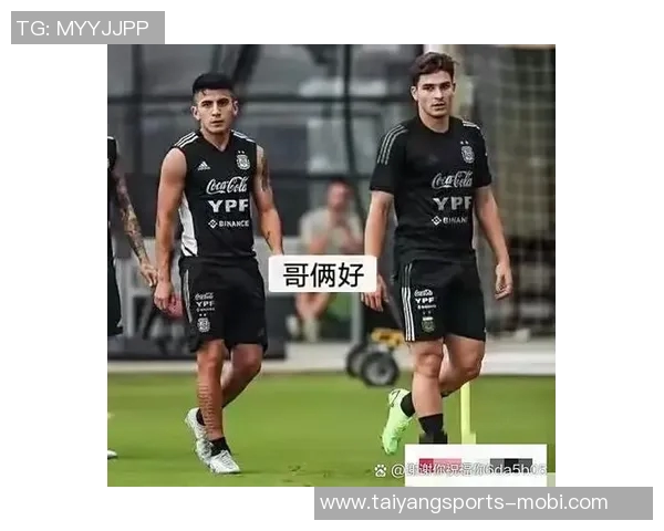 博塔弗戈因拖欠阿尔马达转会费遭禁转会处罚及利息问题引发关注